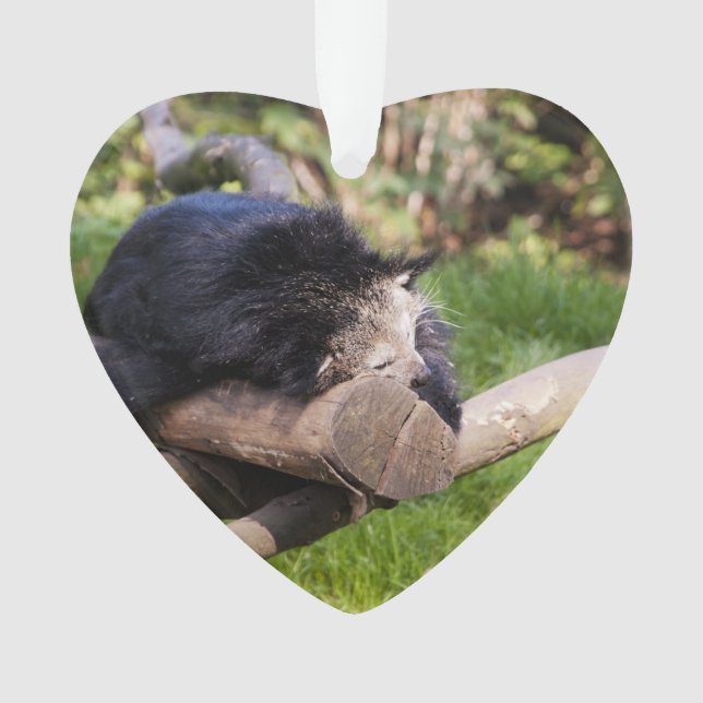 Sleeping Binturong Ornament (Front)
