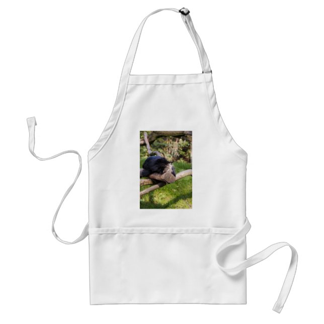Sleeping Binturong Standard Apron (Front)