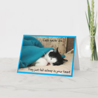 Sleeping Black and White Cat Sympathy Card