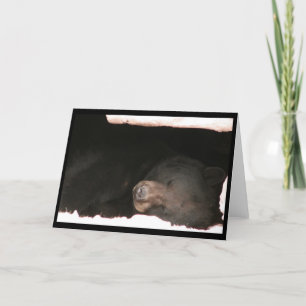 Sleeping Black Bear Card