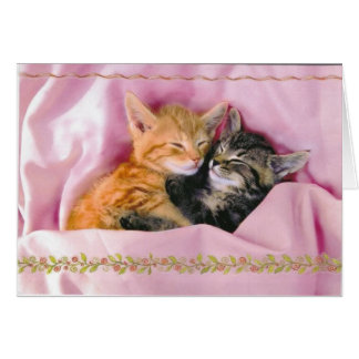 Sleeping Buddies; Tuckered Out