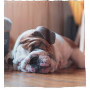 Sleeping Bulldog Bown and White Puppy Shower Curtain