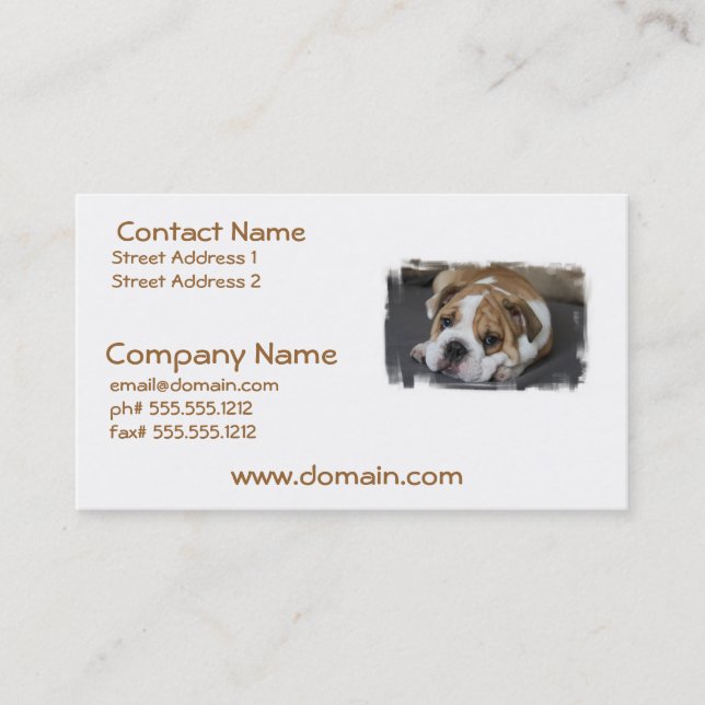 Sleeping Bulldog Business Cards (Front)