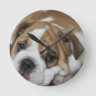 Sleeping Bulldog Clock