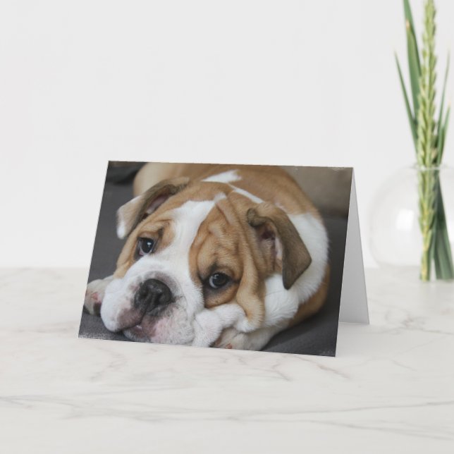 Sleeping Bulldog Greeting Card (Front)