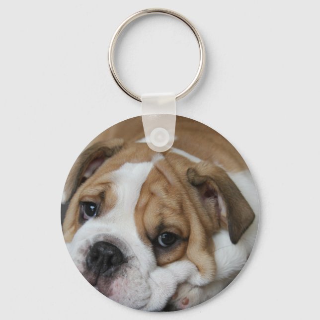 Sleeping Bulldog Keychain (Front)