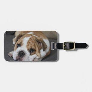 Sleeping Bulldog Luggage Tag