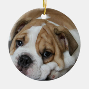 Sleeping Bulldog Ornament