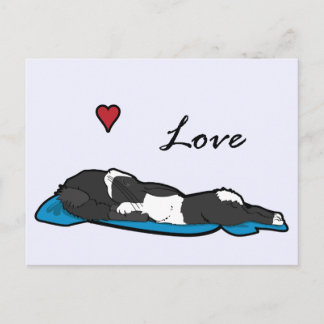 Sleeping Bunneh Postcard