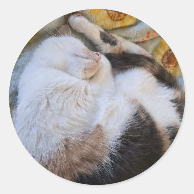 Sleeping calico cat classic round sticker (Front)