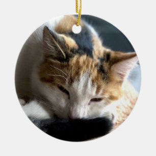 Sleeping Calico Ceramic Tree Decoration