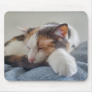 Sleeping calico mouse pad
