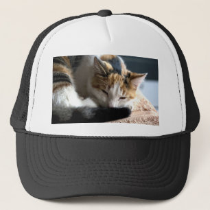 Sleeping Calico Trucker Hat
