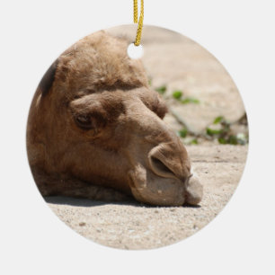 Sleeping Camel Ceramic Tree Decoration