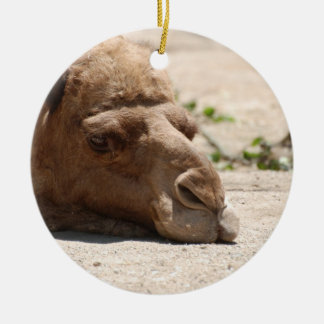 Sleeping Camel Ceramic Tree Decoration