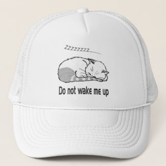 sleeping cat 2 trucker hat