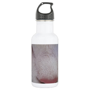 Sleeping Cat 532 Ml Water Bottle