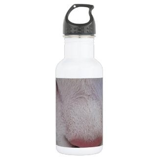Sleeping Cat 532 Ml Water Bottle