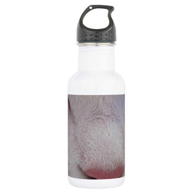 Sleeping Cat 532 Ml Water Bottle (Front)