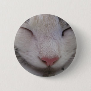 Sleeping Cat 6 Cm Round Badge