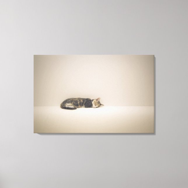 Sleeping cat canvas print (Front)