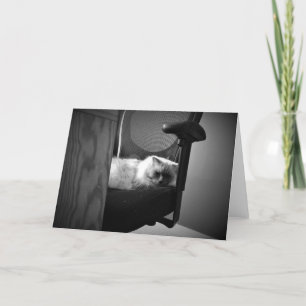 Sleeping Cat card