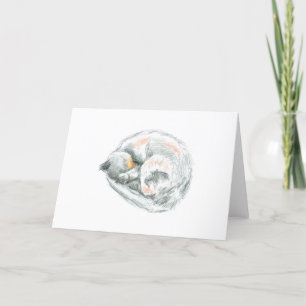 Sleeping Cat Drawing Holiday Card