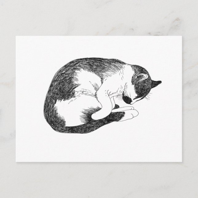 Sleeping Cat – Gentle Reminder to Rest Postcard (Front)