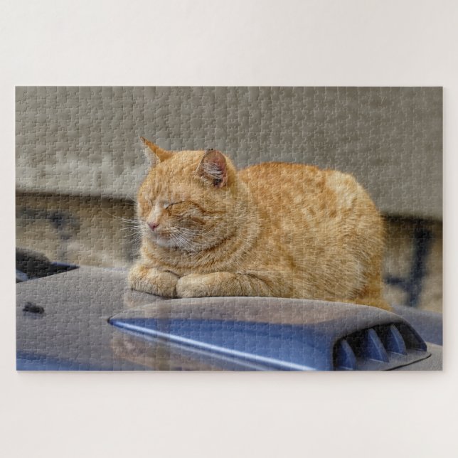 Sleeping cat jigsaw puzzle (Horizontal)
