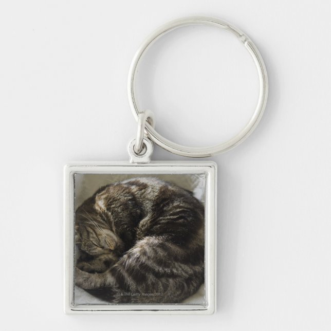 Sleeping cat key ring (Front)