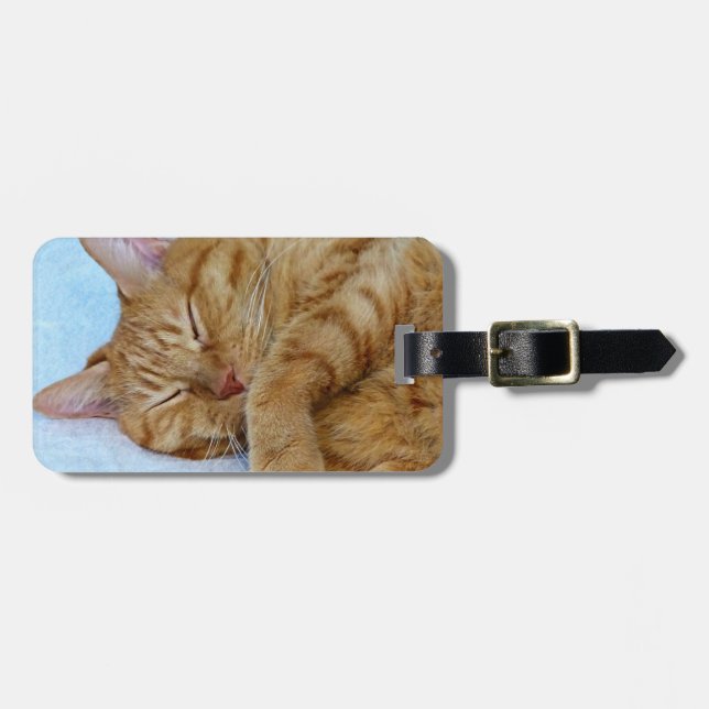 Sleeping Cat Luggage Tag (Front Horizontal)