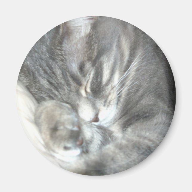 Sleeping Cat Magnet (Front)
