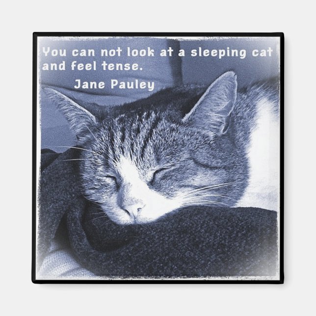 Sleeping cat magnet (Front)