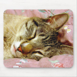 Sleeping Cat Mouse Pad