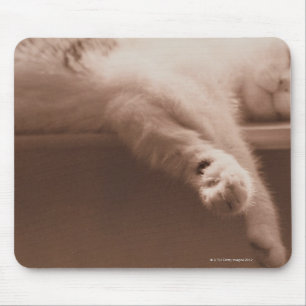 Sleeping Cat Mouse Pad