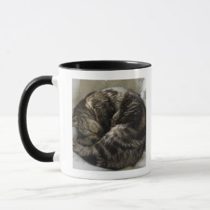 Sleeping cat mug
