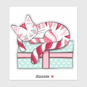 Sleeping Cat on a Christmas Present