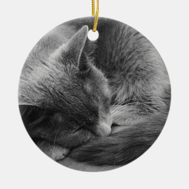 Sleeping cat ornament (Front)