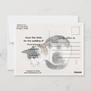 Sleeping Cat  Postcard