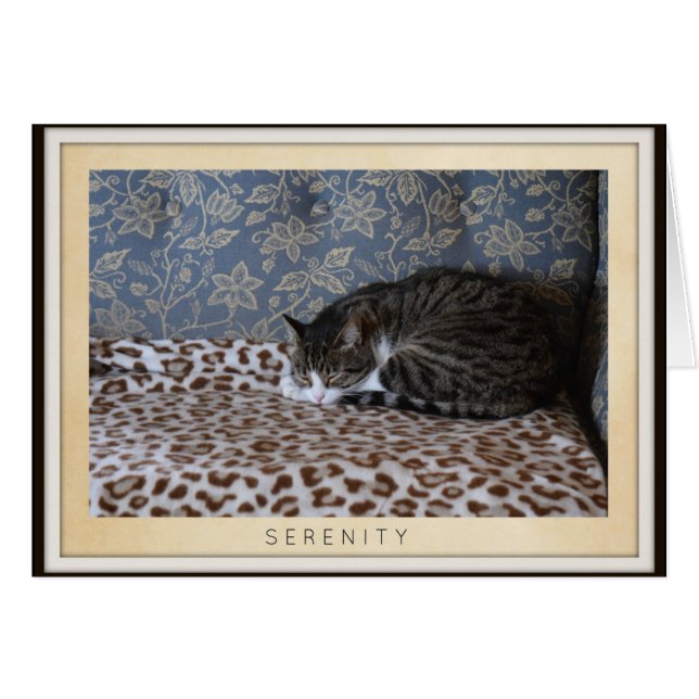 Sleeping Cat - Serenity (Front Horizontal)