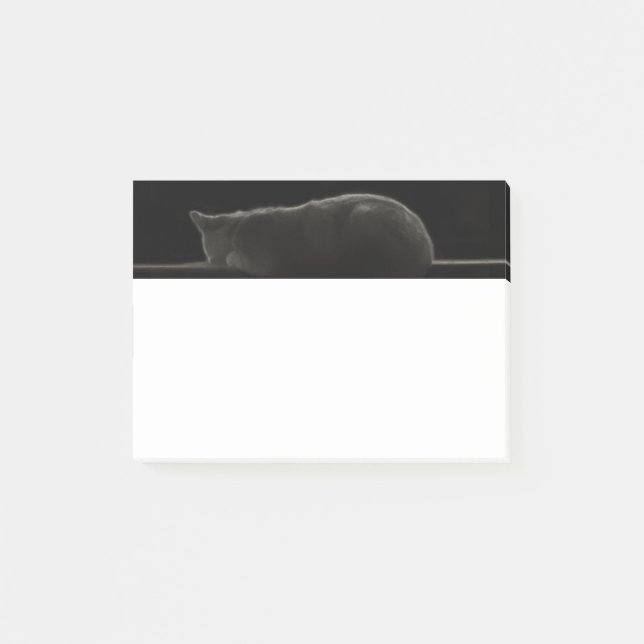 Sleeping Cat Silhouette Post-it Notes (Front)