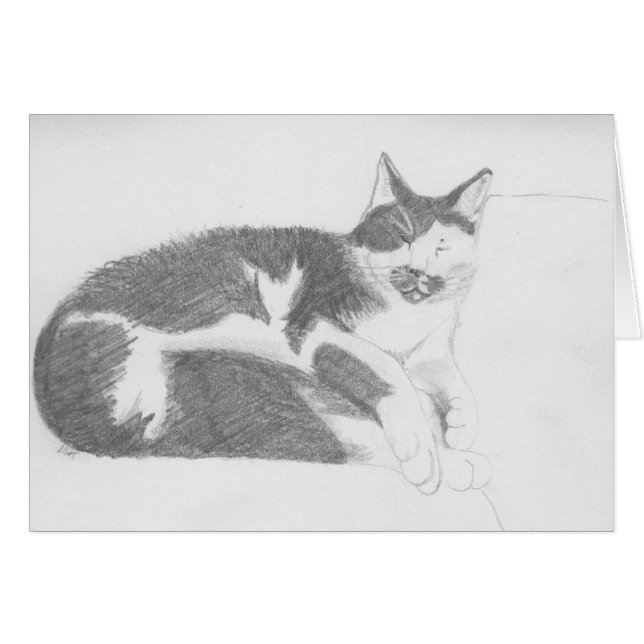 Sleeping cat sketch (Front Horizontal)