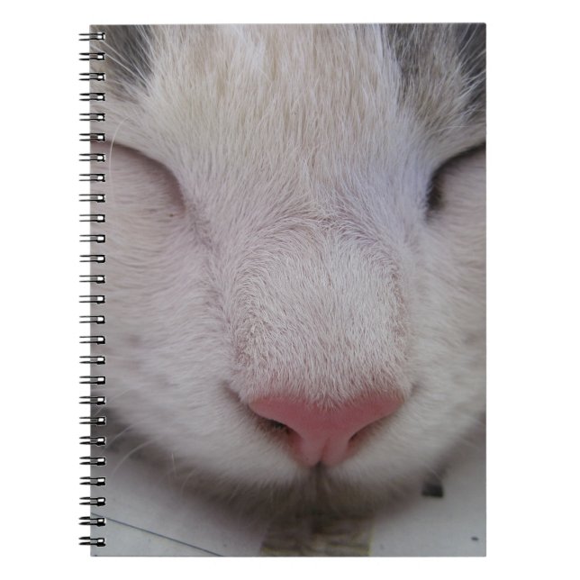 Sleeping Cat Spiral Notebook (Front)