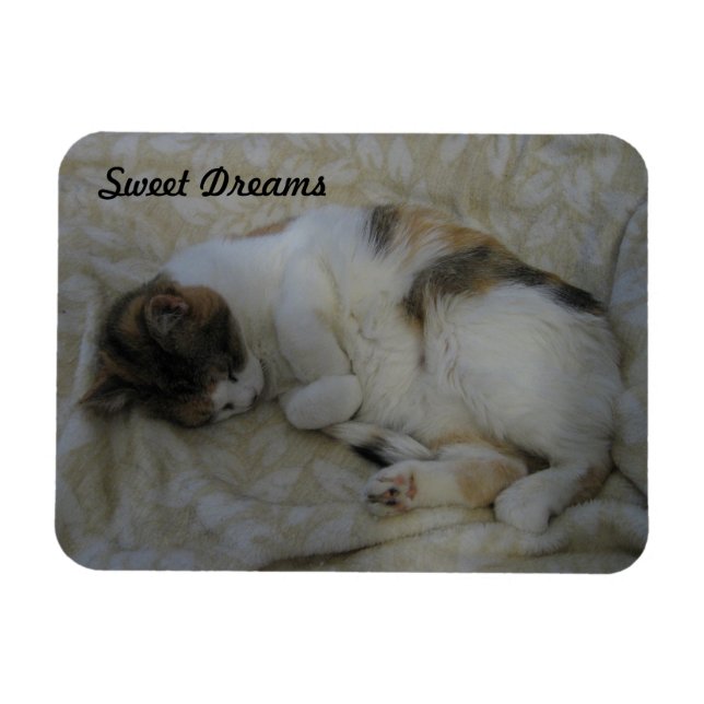 Sleeping Cat-Sweet Dreams Magnet (Horizontal)