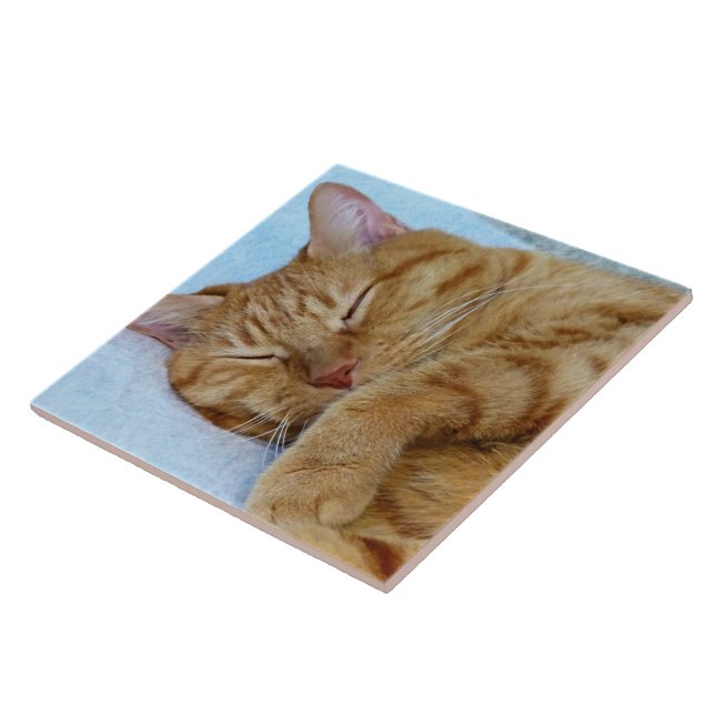 Sleeping Cat Tile (Side)