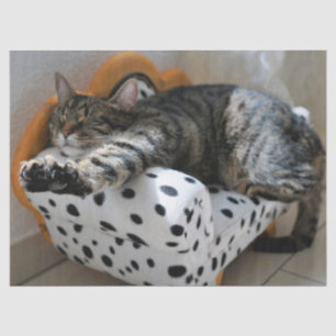 sleeping cat tissue paper