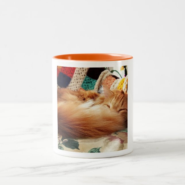 Sleeping cat Two-Tone coffee mug (Center)