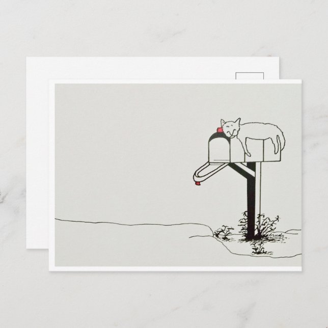 Sleeping Cat Waiting for Some Mail Postcard (Front/Back)