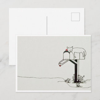 Sleeping Cat Waiting for Some Mail Postcard