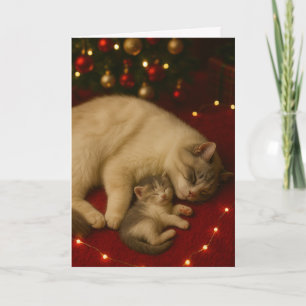 Sleeping Cats Christmas Folded Greeting Card
